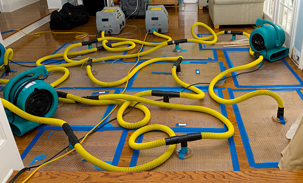 Professional Structural Drying And Dehumidification technician working in Milan, MI